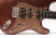 berstecher-vintage-old-whisky-floral-nature-pickguard.jpg