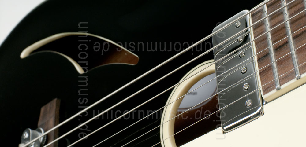 to article description / price Full-Resonance Archtop Jazz Guitar HOYER - DRESSED GENTLEMAN