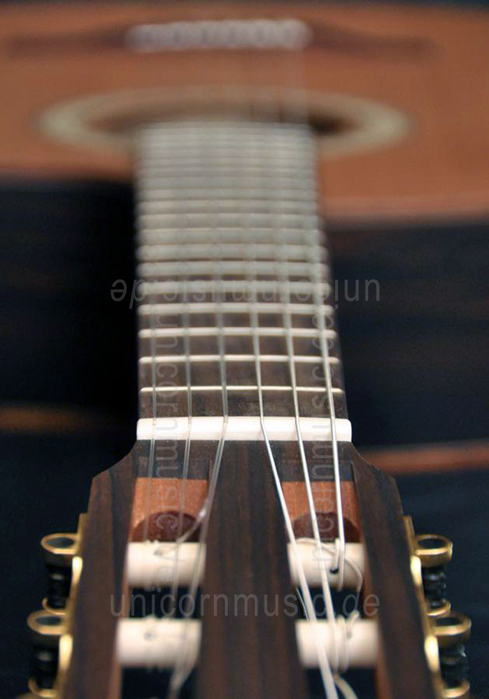 to article description / price Spanish Crossover Guitar CAMPS CW1 - solid cedar top