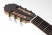 cashimira-77-headstock.jpg