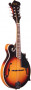 det-gold-tone-gm-35-f-sytle-mandolin-front.jpg