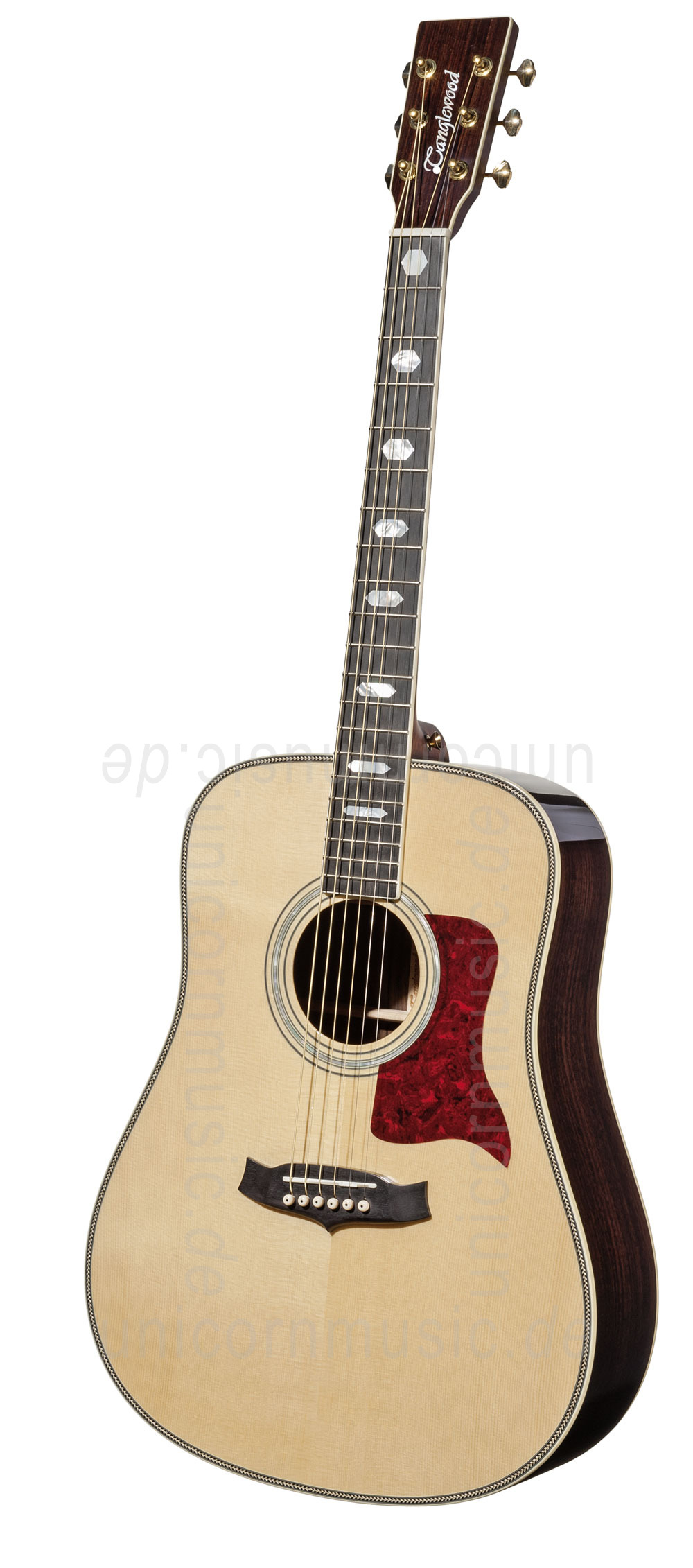 to article description / price Acoustic Guitar TANGLEWOOD TW1000/H SRE - Heritage Series - Fishman Sonitone - Dreadnought - all solid + Hardacse