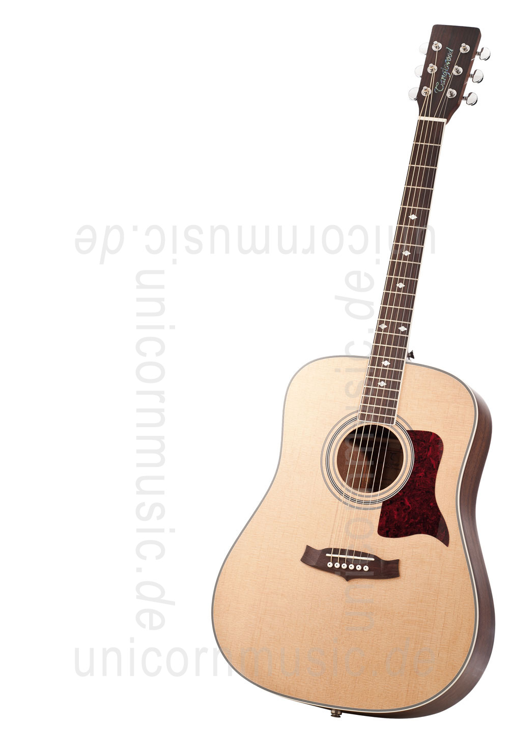 to article description / price Acoustic Guitar TANGLEWOOD TW15/NS - Sundance Series - Dreadnought - all solid