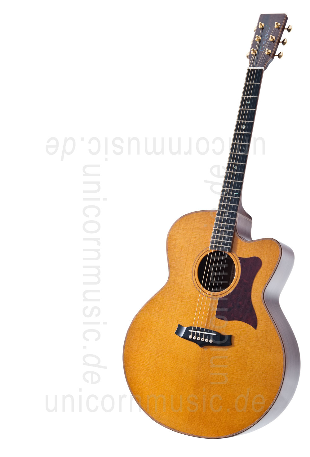 to article description / price Acoustic Guitar TANGLEWOOD TW55/H E - Heritage Series - Fishman Presys Blend - Jumbo - Cutaway - all solid