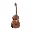 Acoustic Guitar JAMES NELIGAN Dov PFI + Fishman Pickup - solid mahogany top