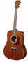 det-tanglewood-tw15-asm-set.jpg