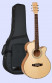 det-tanglewood-tw46-fmp-b-set.jpg