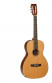 det-tanglewood-tw73-pro-spec-set.jpg