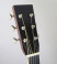 santa-cruz-toni-rice-dreadnought-headstock.jpg